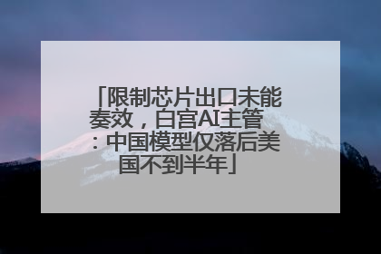 限制芯片出口未能奏效，白宫AI主管：中国模型仅落后美国不到半年