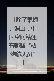 除了果蝇、涡虫，中国空间站还有哪些“动物航天员”