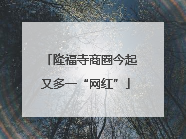 隆福寺商圈今起又多一“网红”