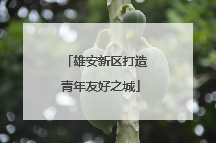 雄安新区打造青年友好之城
