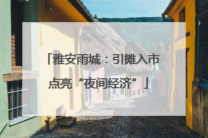 雅安雨城：引摊入市 点亮“夜间经济”