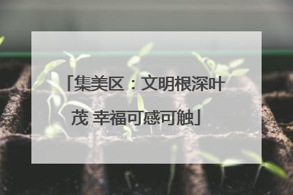 集美区：文明根深叶茂 幸福可感可触