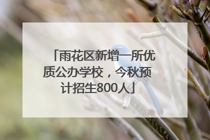 雨花区新增一所优质公办学校，今秋预计招生800人