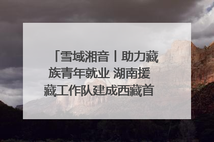 雪域湘音丨助力藏族青年就业 湖南援藏工作队建成西藏首个清洁能源装备园