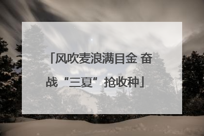 风吹麦浪满目金 奋战“三夏”抢收种