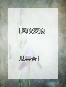 风吹麦浪 瓜果香