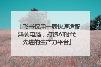 飞书仅用一周快速适配鸿蒙电脑，打造AI时代先进的生产力平台