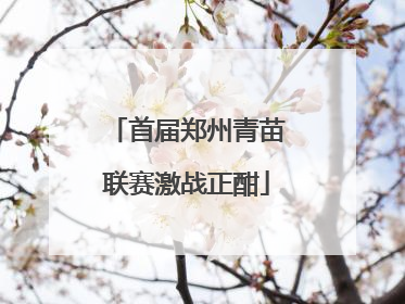 首届郑州青苗联赛激战正酣