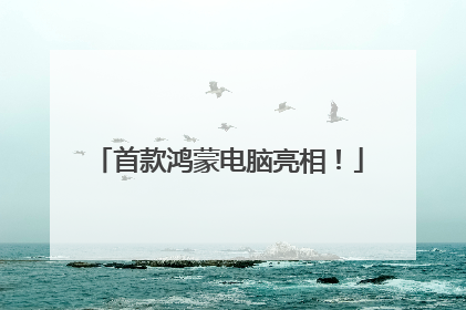 首款鸿蒙电脑亮相！