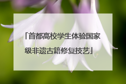 首都高校学生体验国家级非遗古籍修复技艺