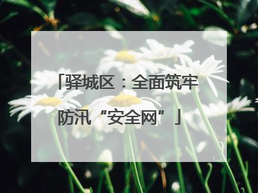 驿城区：全面筑牢防汛“安全网”
