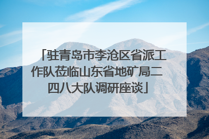 驻青岛市李沧区省派工作队莅临山东省地矿局二四八大队调研座谈