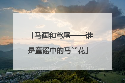 马蔺和鸢尾——谁是童谣中的马兰花