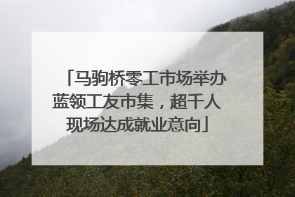 马驹桥零工市场举办蓝领工友市集，超千人现场达成就业意向
