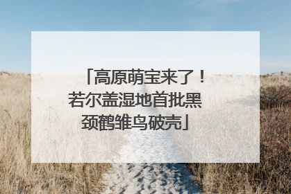 高原萌宝来了！若尔盖湿地首批黑颈鹤雏鸟破壳