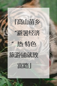高山苗乡“避暑经济”热 特色旅游铺就致富路