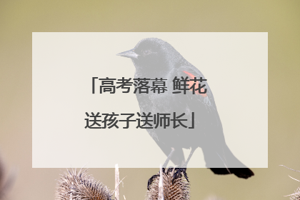 高考落幕 鲜花送孩子送师长