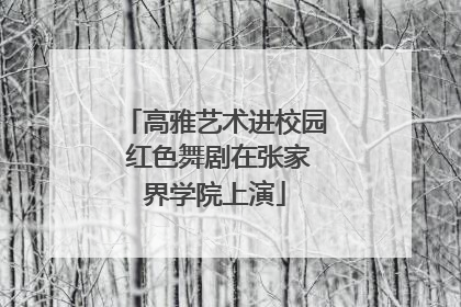 高雅艺术进校园 红色舞剧在张家界学院上演