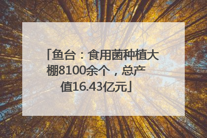 鱼台：食用菌种植大棚8100余个，总产值16.43亿元