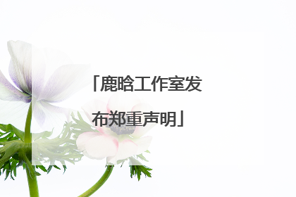 鹿晗工作室发布郑重声明
