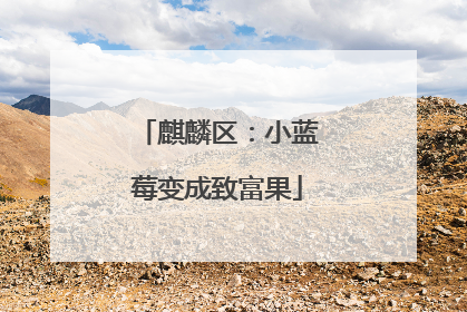 麒麟区：小蓝莓变成致富果