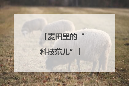 麦田里的“科技范儿”