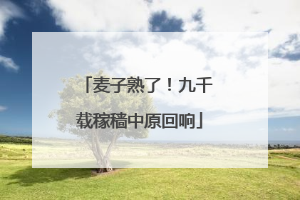 麦子熟了！九千载稼穑中原回响
