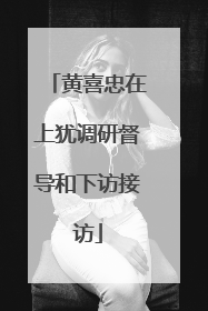 黄喜忠在上犹调研督导和下访接访