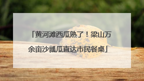 黄河滩西瓜熟了！梁山万余亩沙瓤瓜直达市民餐桌