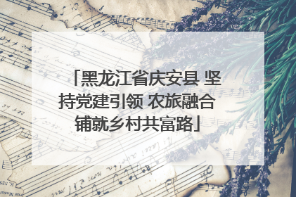 黑龙江省庆安县 坚持党建引领 农旅融合铺就乡村共富路