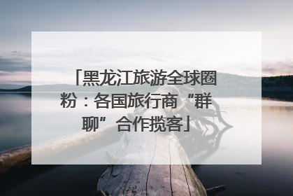 黑龙江旅游全球圈粉：各国旅行商“群聊”合作揽客