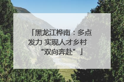 黑龙江桦南：多点发力 实现人才乡村“双向奔赴”