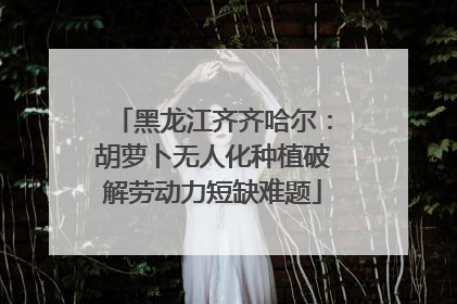 黑龙江齐齐哈尔：胡萝卜无人化种植破解劳动力短缺难题