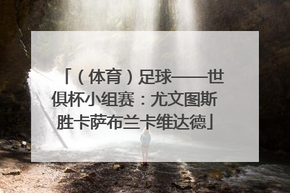 （体育）足球——世俱杯小组赛：尤文图斯胜卡萨布兰卡维达德