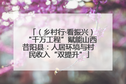 （乡村行·看振兴）“千万工程”赋能山西昔阳县：人居环境与村民收入“双提升”