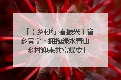 （乡村行·看振兴）畲乡景宁：拥抱绿水青山 乡村迎来共富蝶变