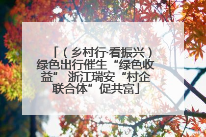 （乡村行·看振兴）绿色出行催生“绿色收益” 浙江瑞安“村企联合体”促共富