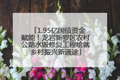 1.95亿国债资金赋能！龙岩新罗区农村公路水毁修复工程绘就乡村振兴新通途