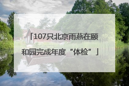 107只北京雨燕在颐和园完成年度“体检”