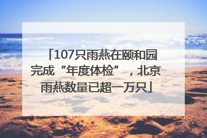 107只雨燕在颐和园完成“年度体检”，北京雨燕数量已超一万只