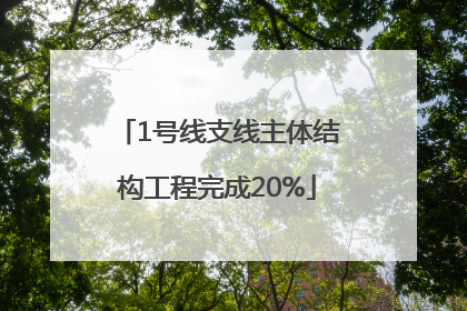 1号线支线主体结构工程完成20%