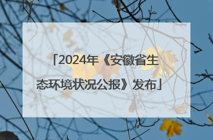 2024年《安徽省生态环境状况公报》发布