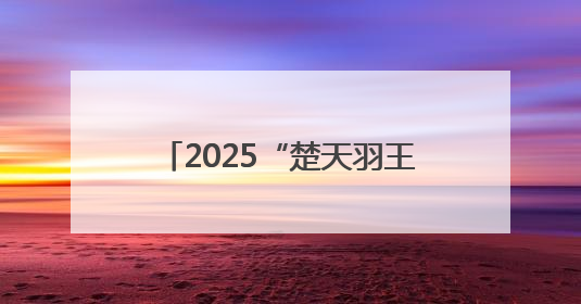 2025“楚天羽王”湖北城市俱乐部赛首站挥拍，近200名球手在黄石同场竞技