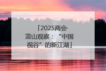 2025两会·萧山观察：“中国视谷”的新江湖