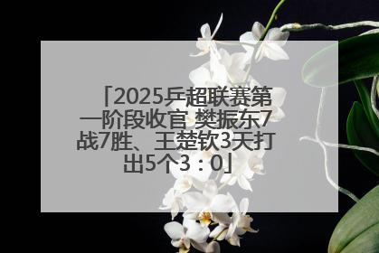 2025乒超联赛第一阶段收官 樊振东7战7胜、王楚钦3天打出5个3∶0