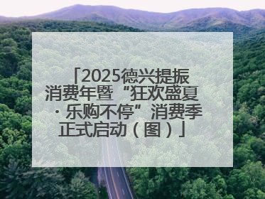 2025德兴提振消费年暨“狂欢盛夏・乐购不停”消费季正式启动（图）