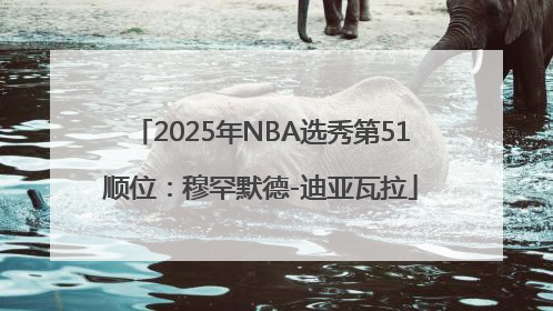 2025年NBA选秀第51顺位：穆罕默德-迪亚瓦拉