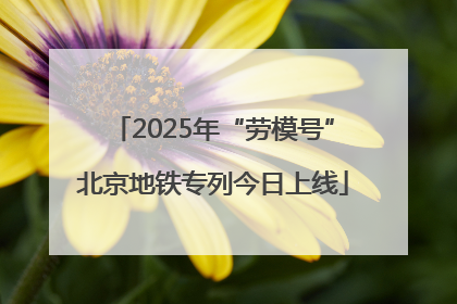 2025年“劳模号”北京地铁专列今日上线