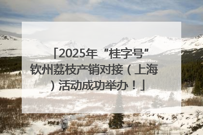 2025年“桂字号”钦州荔枝产销对接（上海）活动成功举办！