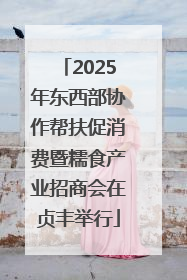 2025年东西部协作帮扶促消费暨糯食产业招商会在贞丰举行